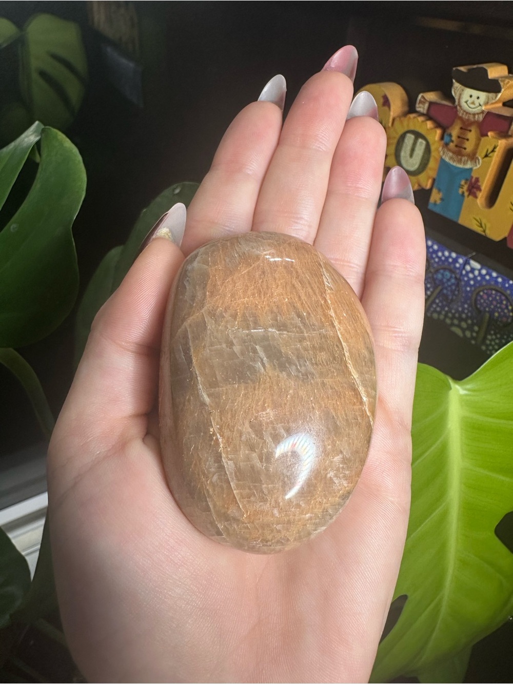 Polished Peach Moonstone Palm Stone - Natural Brown Crystal